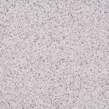 Picture of Patcraft - Numix Ube Fleck-V1