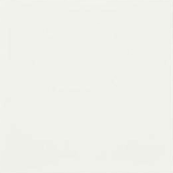 Picture of Shaw Floors - Diva 24 x 24 White