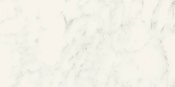 Picture of Milestone - Jem 12 x 24 Matte Adagio White