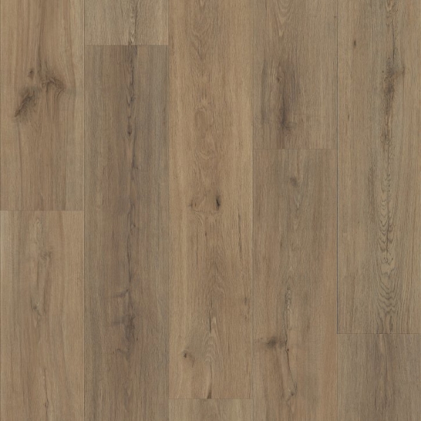 Picture of Shaw Floors - Superlative Plus Wild Dunes