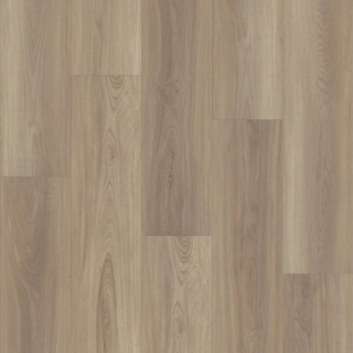Picture of Shaw Floors - Superlative Plus Lighthouse