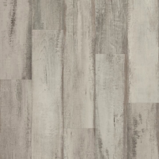 Picture of Shaw Floors - Superlative Plus Fresh Driftwood