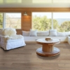 Picture of Shaw Floors - Endura Plus Driftwood
