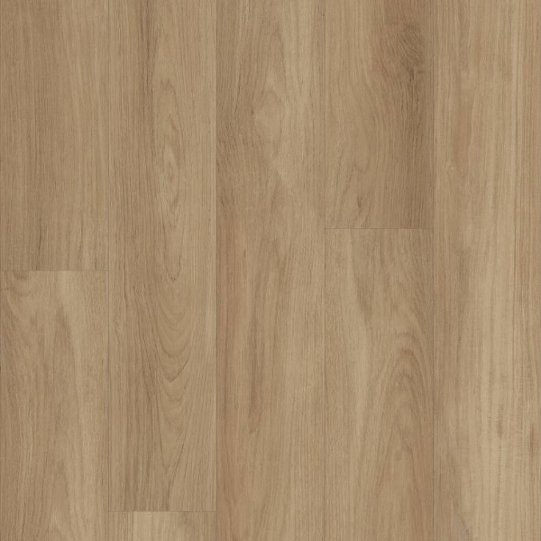 Picture of Shaw Floors - Distinction Plus Hazelnut Brown