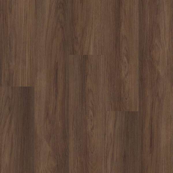 Picture of Shaw Floors - Distinction Plus Burnt Umber