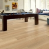 Picture of Shaw Floors - Endura Plus Castaway