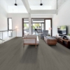 Picture of Shaw Floors - Dwell Hearthstone Grey