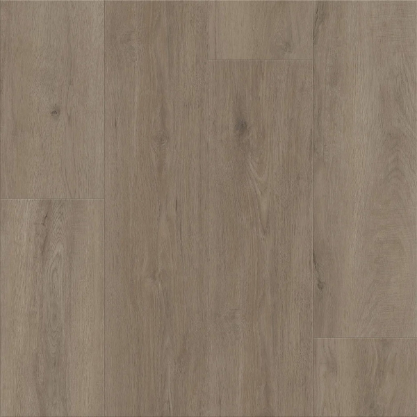 Picture of Shaw Floors - Dwell Truffle