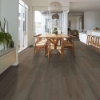 Picture of Shaw Floors - Dwell Truffle