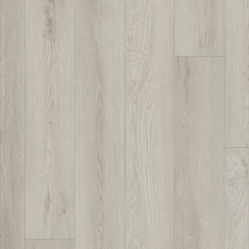 Picture of Shaw Floors - Paladin Plus Warm Grey