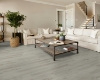 Picture of Shaw Floors - Paladin Plus Warm Grey