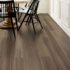 Picture of Shaw Floors - Pantheon HD Plus Natural Bevel Bluff