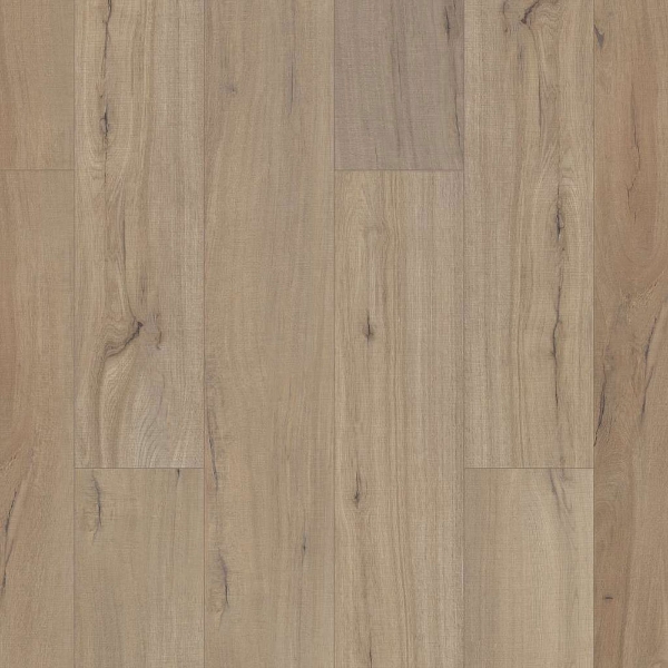 Picture of Shaw Floors - Paladin Plus Driftwood