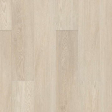 Picture of Shaw Floors - Paladin Plus Silver Dollar