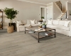 Picture of Shaw Floors - Paladin Plus Soft Beige