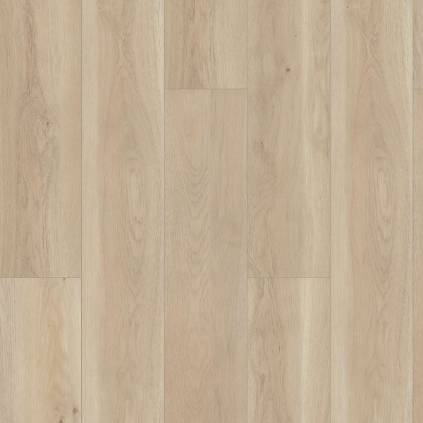 Picture of Shaw Floors - Paragon HD Plus Natural Bevel Cambridge