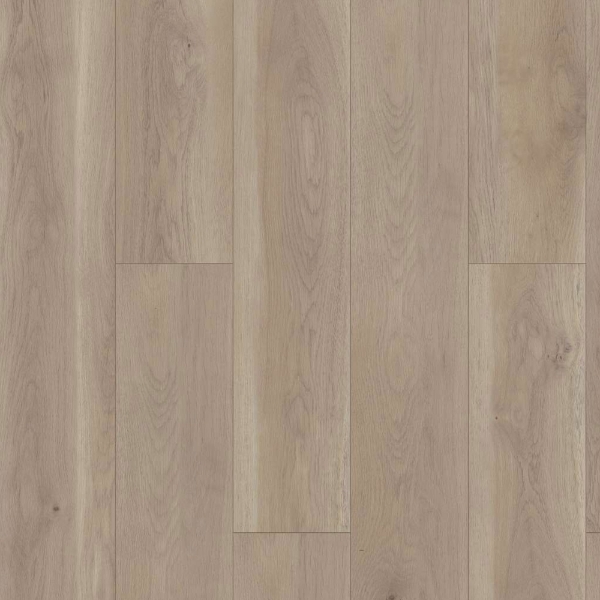 Picture of Shaw Floors - Paragon HD Plus Natural Bevel Wisteria