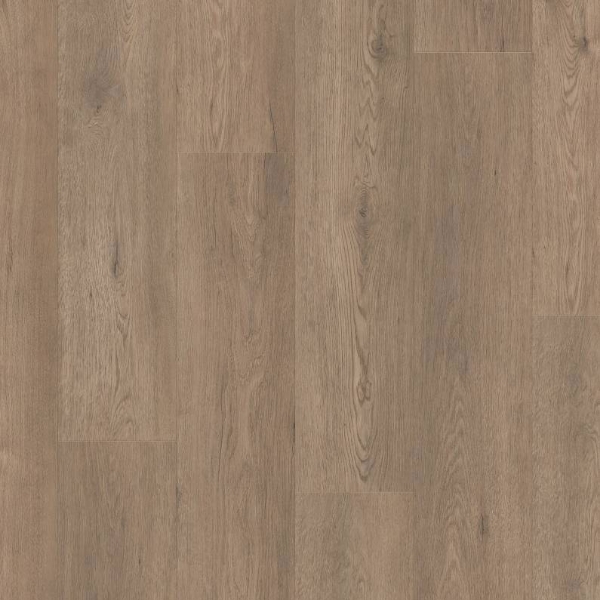 Picture of Shaw Floors - Paragon HD Plus Natural Bevel Winthrop