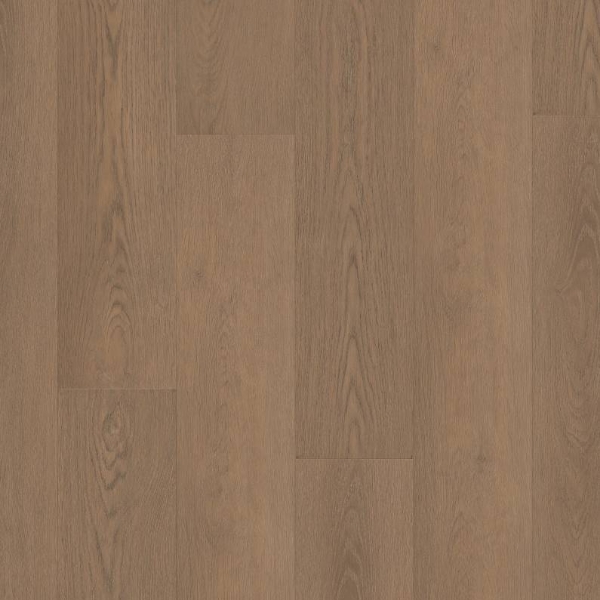 Picture of Shaw Floors - Paragon HD Plus Natural Bevel Rutledge