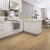 Picture of Aladdin Commercial - Footpath 20 Glue Down Amtico Wood
