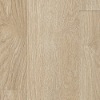 Picture of Aladdin Commercial - Footpath 20 Glue Down Biloba Wood