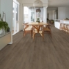Picture of Shaw Floors - Starting Line Stormy Espresso
