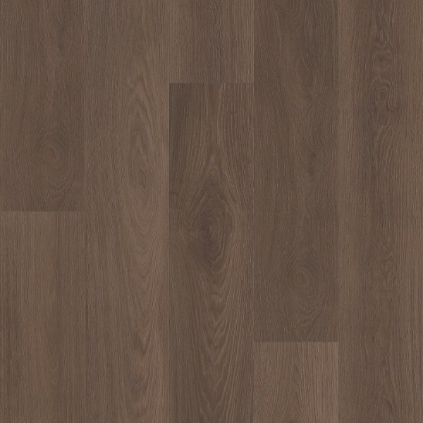 Picture of Shaw Floors - Vantage Point NB Sierra