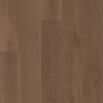 Picture of Shaw Floors - Vantage Point NB Legend