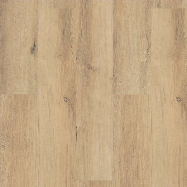 Picture of 5th and Main - Frontier Plus Centennial Divide