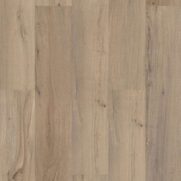 Picture of 5th and Main - Frontier Plus Rae Lakes