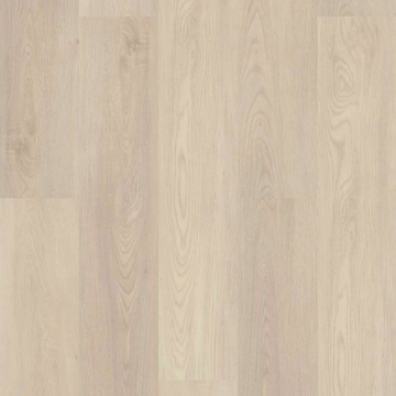 Picture of 5th and Main - Frontier Plus Roan