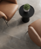 Picture of Milestone - Plus One 12 x 24 Matte Plumb