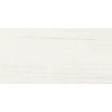 Picture of Gazzini - Dolomite 24 x 48 White Polished