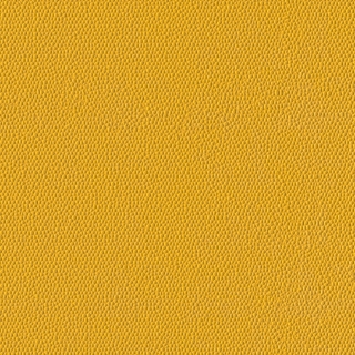 Picture of Burke - Colorscape Sculptured 18 x 18 Daffodil