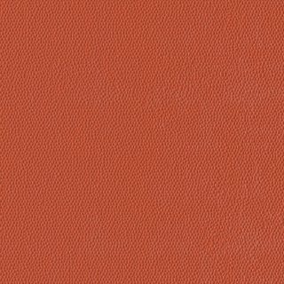 Picture of Burke - Colorscape Sculptured 18 x 18 Mango