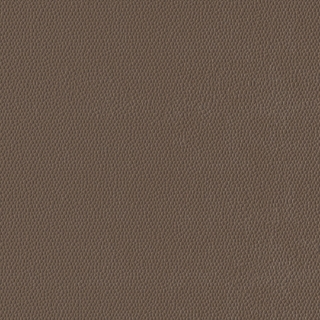 Picture of Burke - Colorscape Sculptured 18 x 18 Mocha