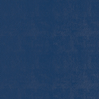 Picture of Burke - Colorscape Sculptured 18 x 18 Peacock