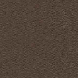 Picture of Burke - Colorscape Sculptured 18 x 18 Pecan