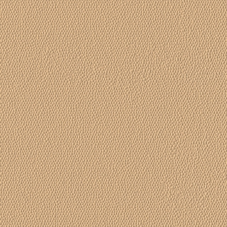 Picture of Burke - Colorscape Sculptured 36 x 36 Desert Sand