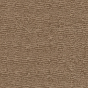 Picture of Burke - Colorscape Sculptured 36 x 36 Ginger