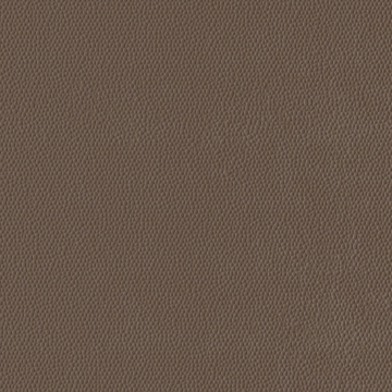 Picture of Burke - Colorscape Sculptured 36 x 36 Mocha