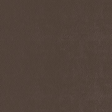 Picture of Burke - Colorscape Sculptured 36 x 36 Pecan