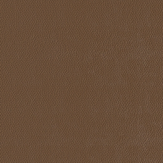 Picture of Burke - Colorscape Sculptured 36 x 36 Tumbleweed