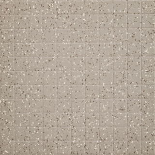 Picture of Burke - Colorspec Square 36 x 36 Gray Dog