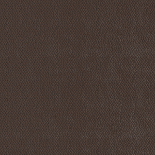 Picture of Burke - Colorscape Sculptured 36 x 36 QuickStix Brown