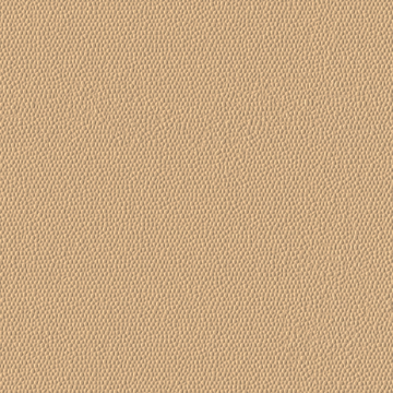 Picture of Burke - Colorscape Sculptured 36 x 36 QuickStix Desert Sand