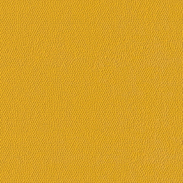 Picture of Burke - Colorscape Sculptured 36 x 36 QuickStix Daffodil