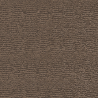 Picture of Burke - Colorscape Sculptured 36 x 36 QuickStix Mocha