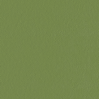 Picture of Burke - Colorscape Sculptured 36 x 36 QuickStix Sugar Snap