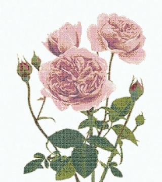 Picture of Bisazza Mosaico - Decori 10 - Malmaison Cipria